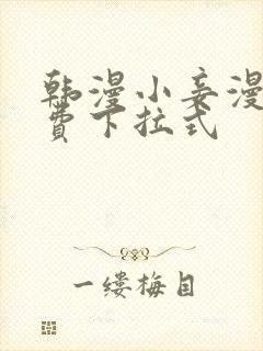 韩漫小妾漫画免费下拉式