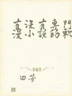 有没有专门看动漫小说的软件