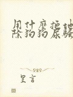 用什么拖地能去除狗狗尿骚味