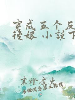 穿成五个反派的后娘 小说下载