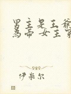 男主是王爷后来为帝 女主穿越