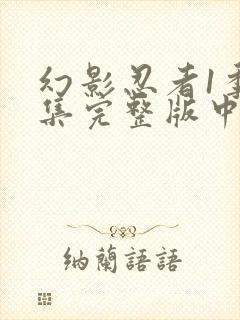 幻影忍者1季全集完整版中文