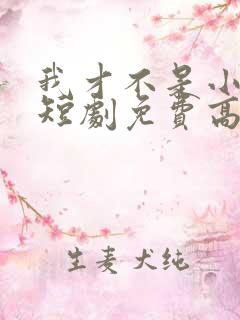 我才不是小可怜短剧免费高清