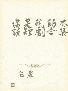 你是我的不可言说短剧合集免费观看