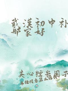 武汉初中补习班哪家好