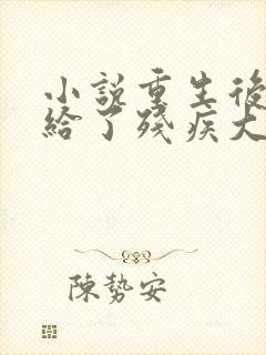 小说重生后我嫁给了残疾大佬全文阅读