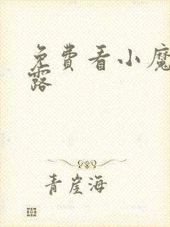 免费看小魔头暴露