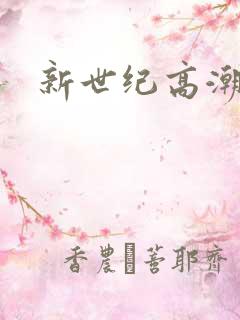 新世纪高潮战队