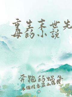 重生末世先杀圣母的小说