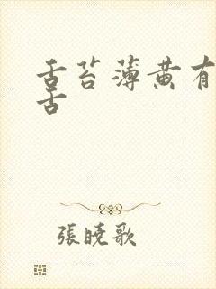 舌苔薄黄有齿痕舌