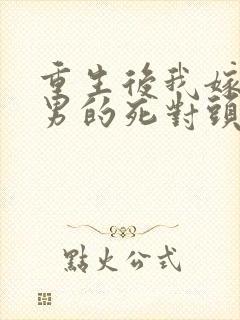 重生后我嫁给渣男的死对头宠上天