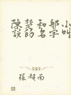 陈楚和那小莲小说的名字叫啥