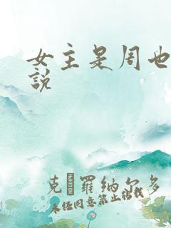 女主是周也的小说