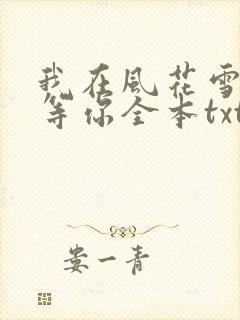 我在风花雪月里等你全本txt下载
