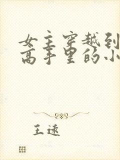 女主穿越到灌篮高手里的小说