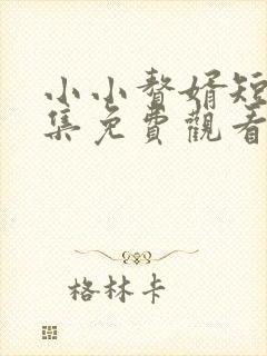 小小赘婿短剧全集免费观看