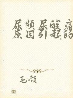 尿频尿酸痛什么原因引起的