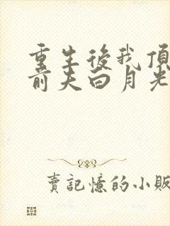 重生后我顶替了前夫白月光完结版