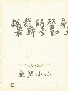 总裁的替身前妻 最新章节 无弹窗