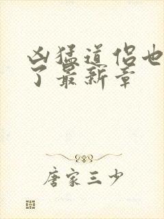 凶猛道侣也重生了最新章