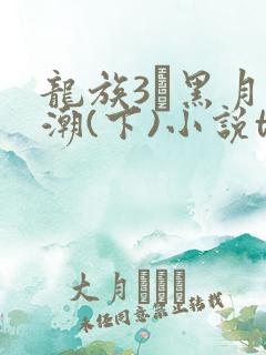 龙族3·黑月之潮(下)小说txt下载