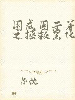 圈成团子著快穿之拯救黑化boss男主