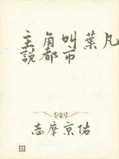 主角叫叶凡的小说都市