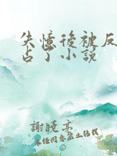 失忆后被反派独占了小说