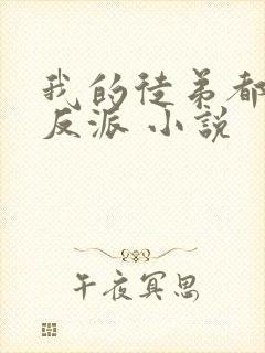 我的徒弟都是大反派 小说