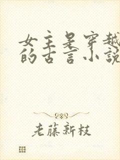 女主是穿越冲喜的古言小说