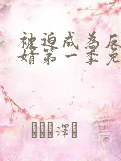 被迫成为反派赘婿第一季免费观看