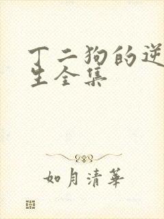 丁二狗的逆袭人生全集