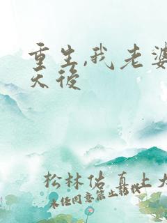 重生,我老婆是天后