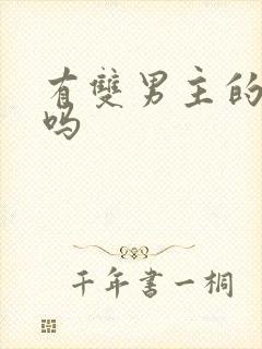 有双男主的漫画吗