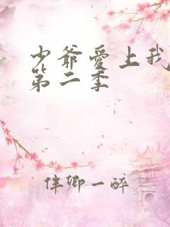 少爷爱上我泰剧第二季