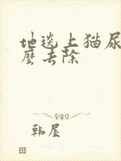 地毯上猫尿味怎么去除