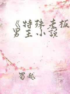 《特殊老板》双男主小说