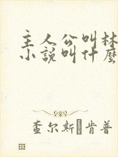 主人公叫林尘的小说叫什么名字