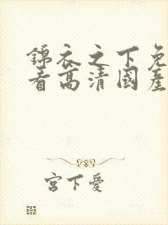 锦衣之下免费观看高清国产剧