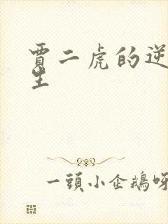 贾二虎的逆袭人生