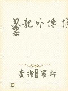 忍龙外传 修改器