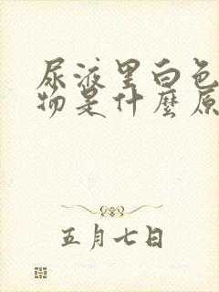 尿液里白色沉淀物是什么原因