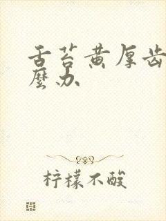 舌苔黄厚齿痕怎么办