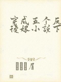 穿成五个反派的后娘小说下载