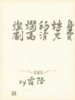 灿烂的转身电视剧高清免费观看