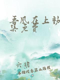 吾凰在上动漫全集免费