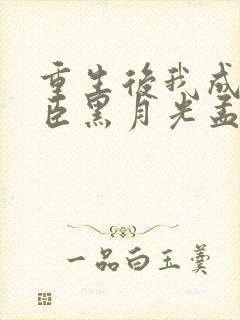 重生后我成了奸臣黑月光孟芊芊