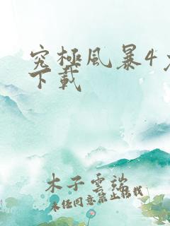 究极风暴4免费下载