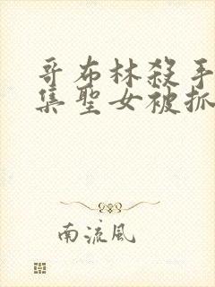 哥布林杀手第几集圣女被抓