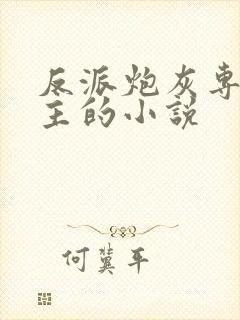 反派炮灰专偷女主的小说